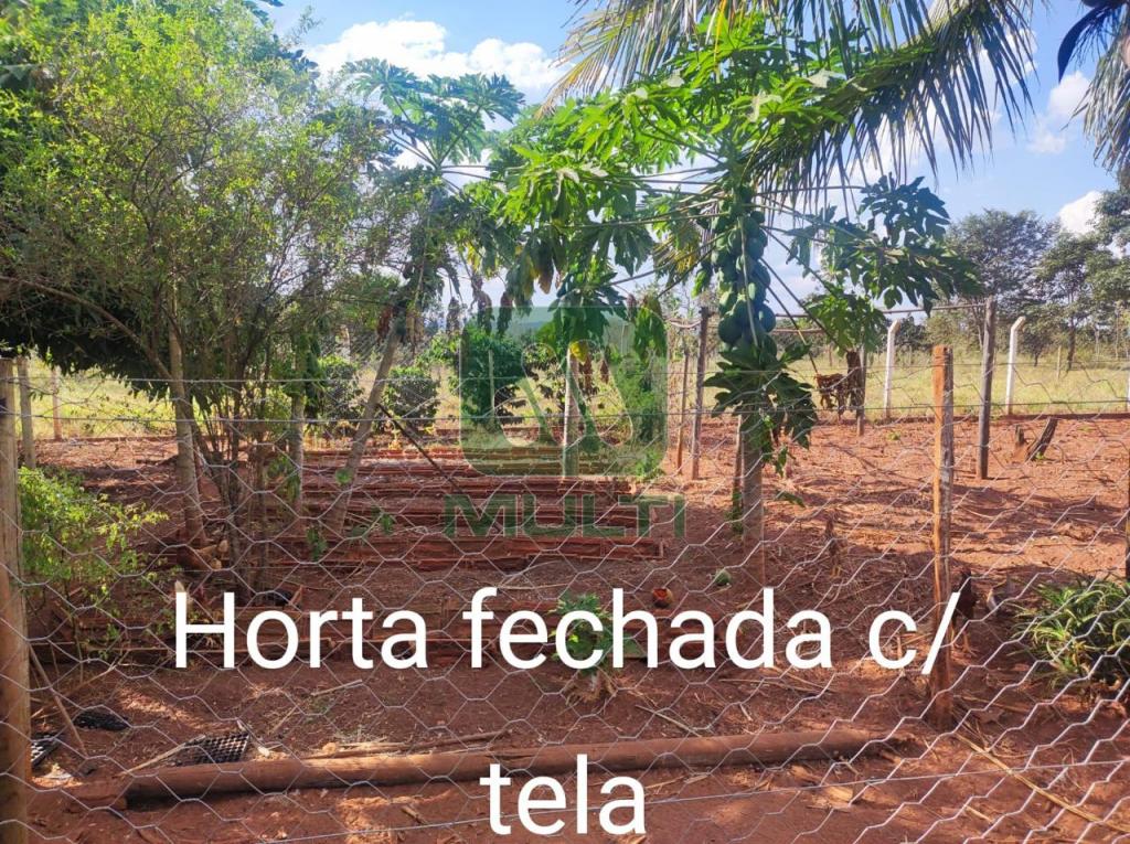 Fazenda à venda com 3 quartos, 1m² - Foto 28