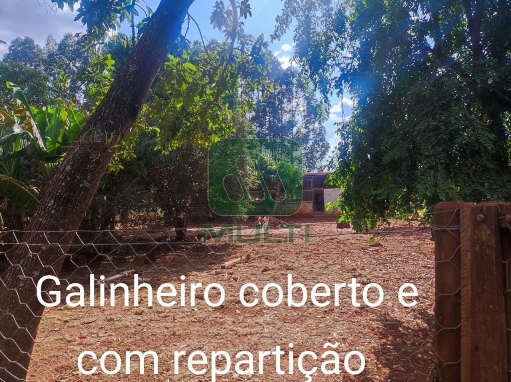 Fazenda à venda com 3 quartos, 1m² - Foto 30