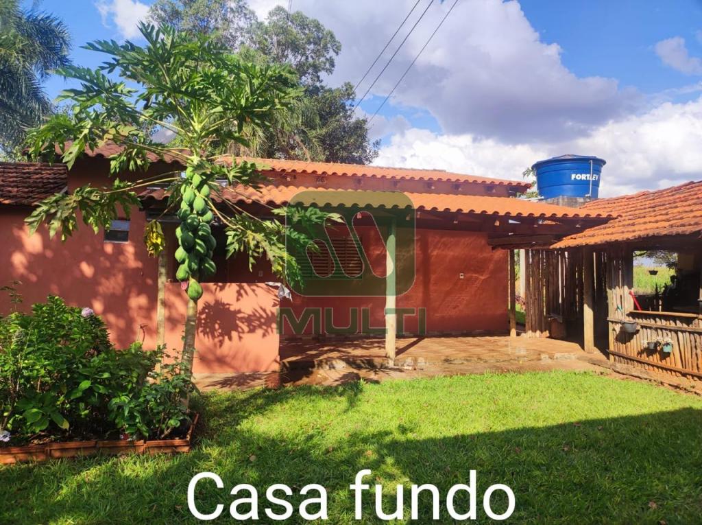 Fazenda à venda com 3 quartos, 1m² - Foto 32