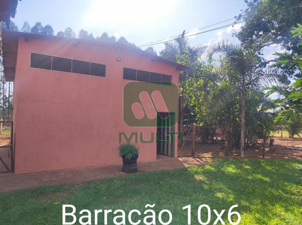 Fazenda à venda com 3 quartos, 1m² - Foto 34