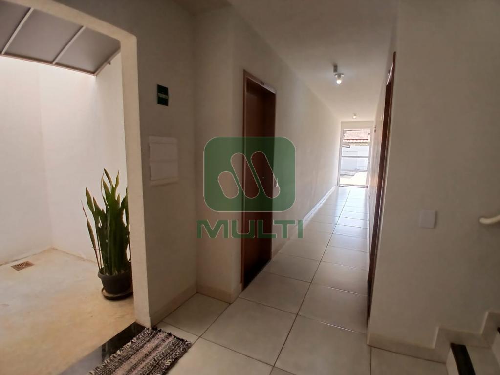 Apartamento à venda com 2 quartos, 53m² - Foto 13