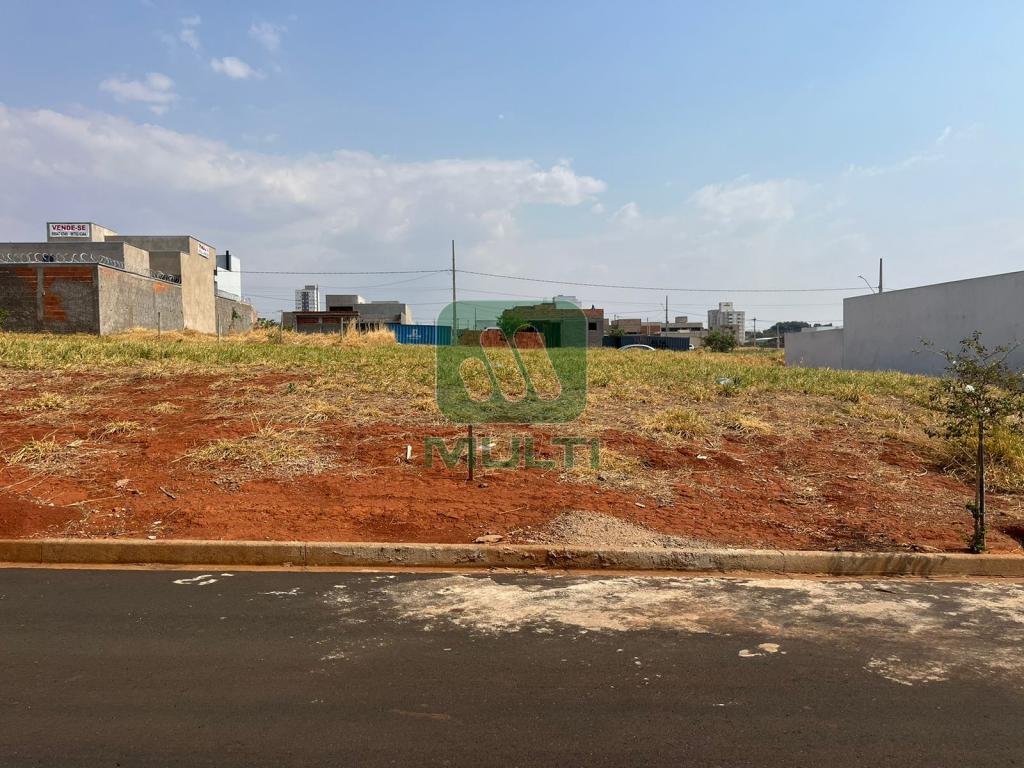 Terreno à venda com 1 quarto, 250m² - Foto 2