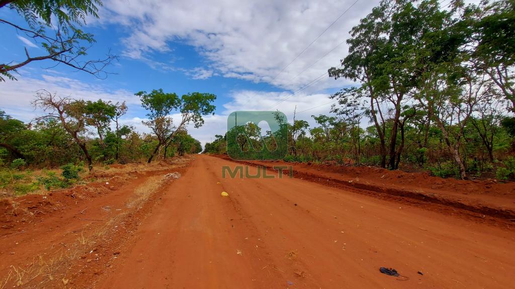 Fazenda à venda com 1 quarto, 10000m² - Foto 3