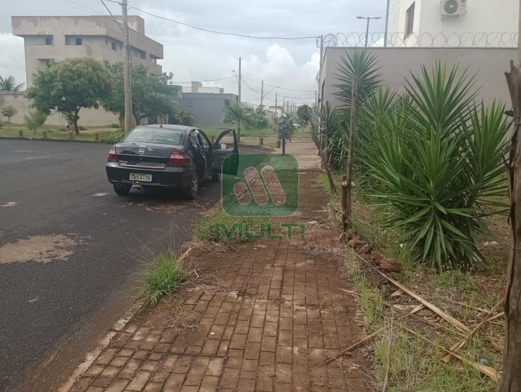 Terreno à venda com 1 quarto, 300m² - Foto 2