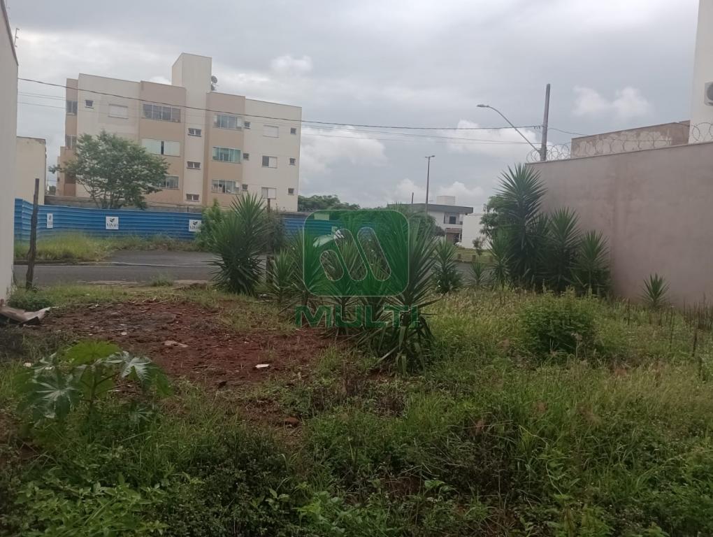 Terreno à venda com 1 quarto, 300m² - Foto 3