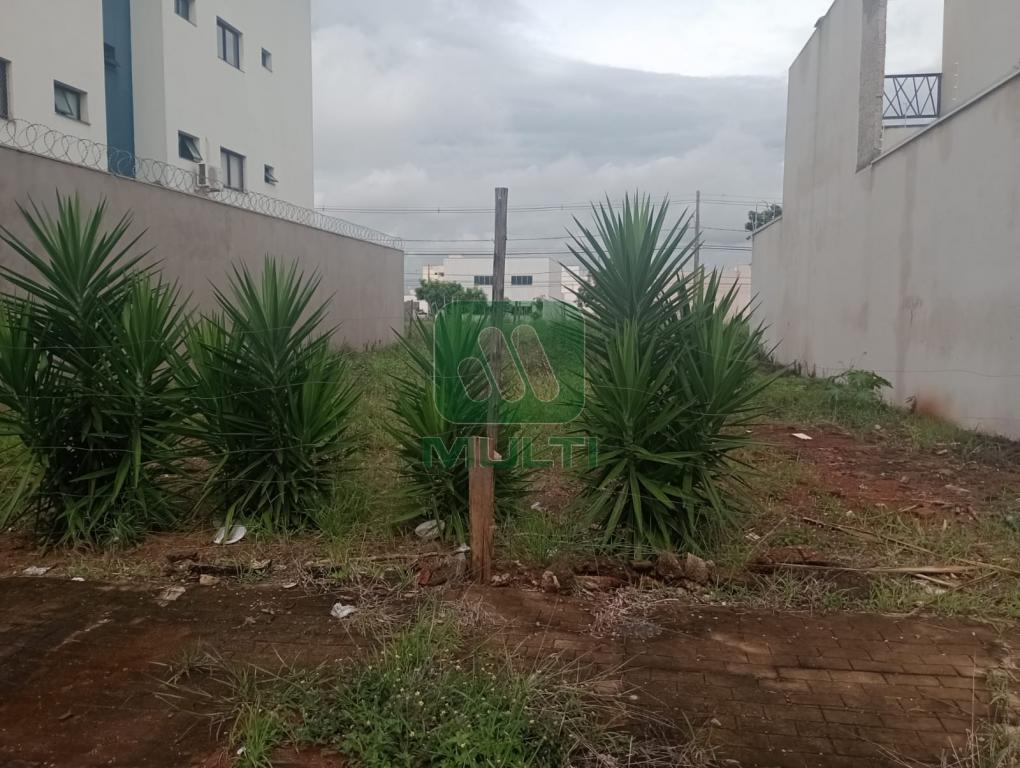 Terreno à venda com 1 quarto, 300m² - Foto 4