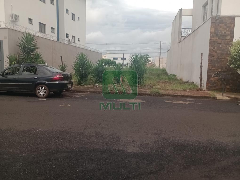 Terreno à venda com 1 quarto, 300m² - Foto 5