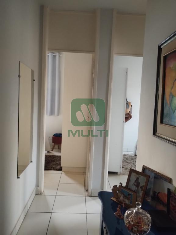 Apartamento à venda com 3 quartos, 71m² - Foto 11