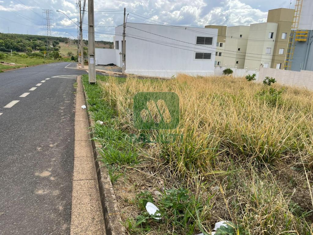 Terreno à venda com 1 quarto, 1m² - Foto 6