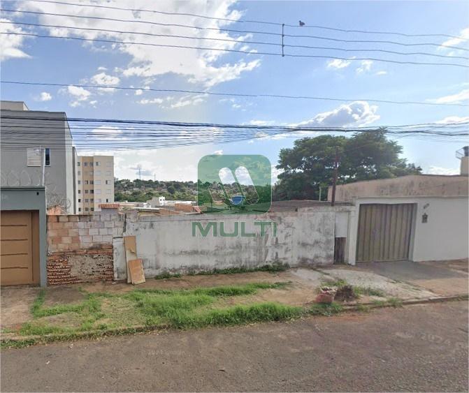 Terreno à venda com 1 quarto, 300m² - Foto 1