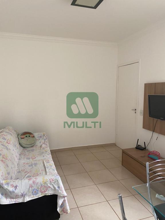 Apartamento à venda com 2 quartos, 43m² - Foto 2