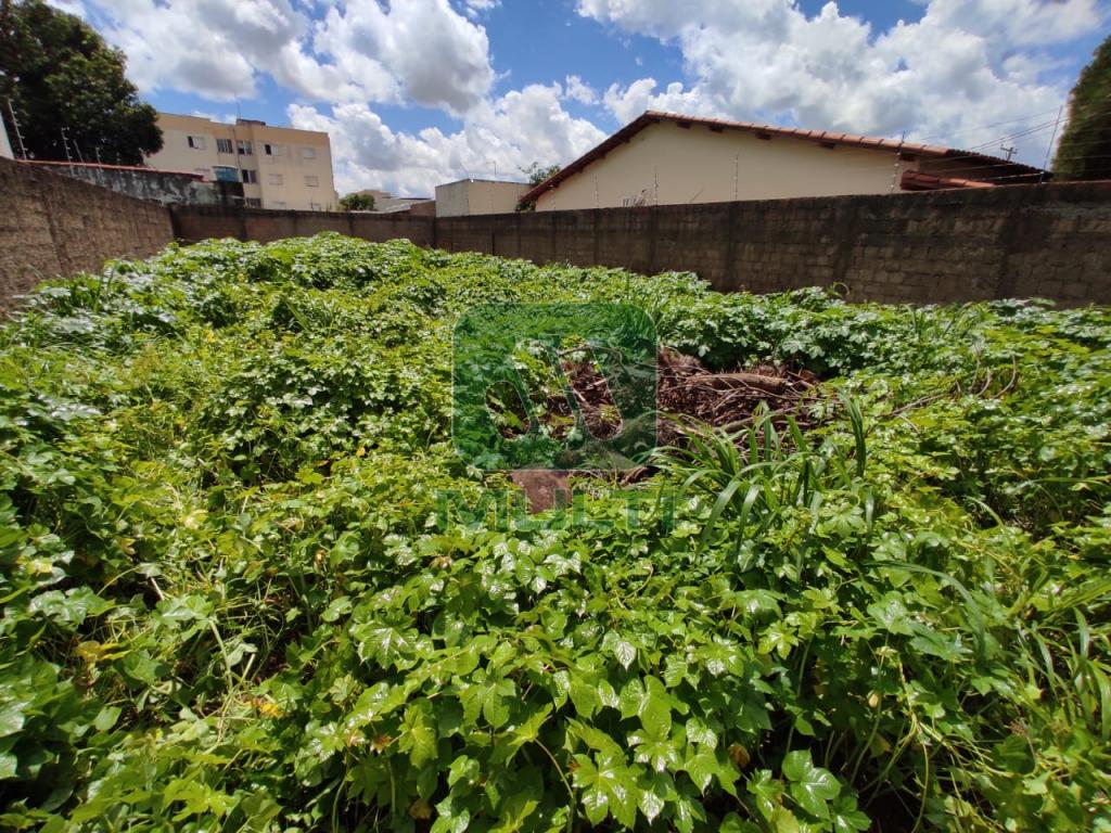 Terreno à venda com 1 quarto, 1m² - Foto 1