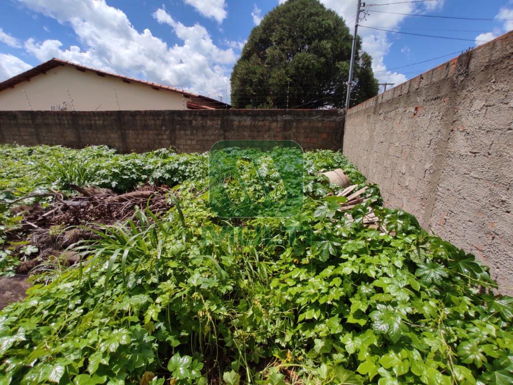 Terreno à venda com 1 quarto, 1m² - Foto 3