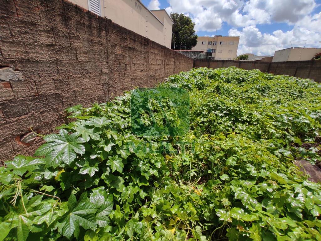 Terreno à venda com 1 quarto, 1m² - Foto 6