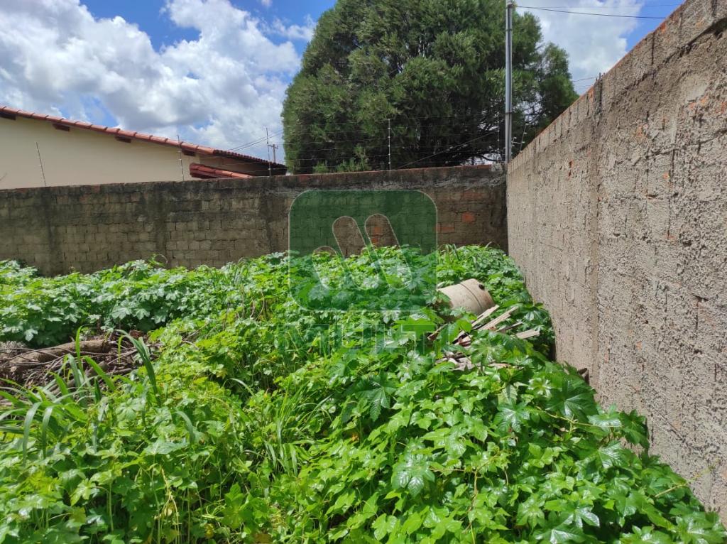 Terreno à venda com 1 quarto, 1m² - Foto 7