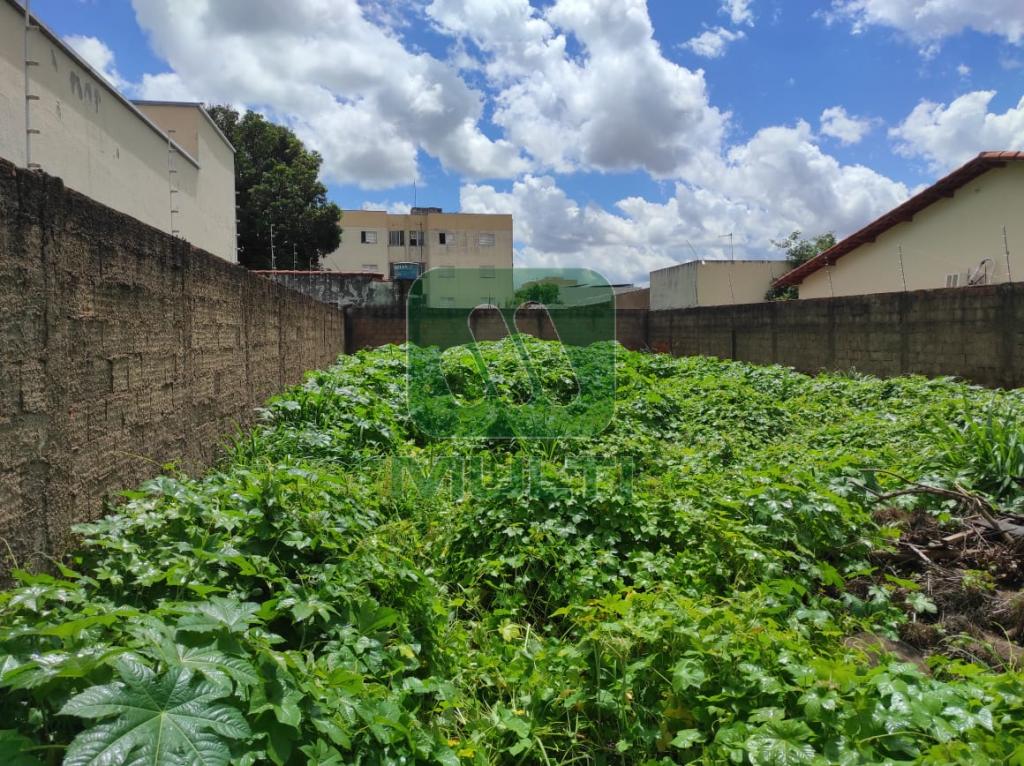 Terreno à venda com 1 quarto, 1m² - Foto 8