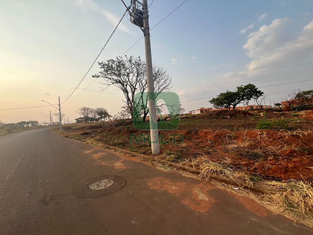 Terreno à venda com 1 quarto, 300m² - Foto 3