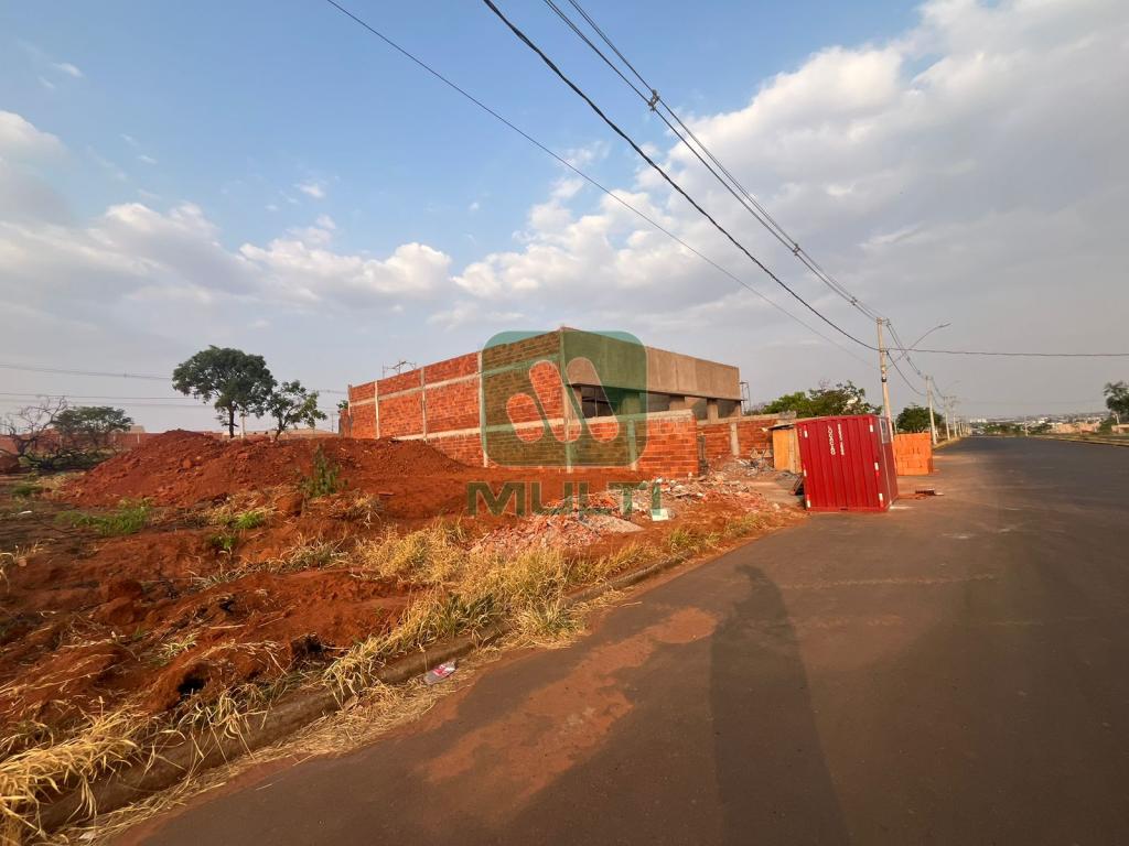 Terreno à venda com 1 quarto, 300m² - Foto 4