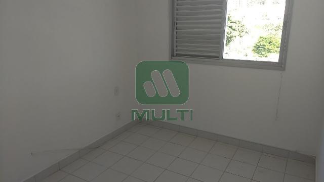 Apartamento à venda com 3 quartos, 76m² - Foto 9