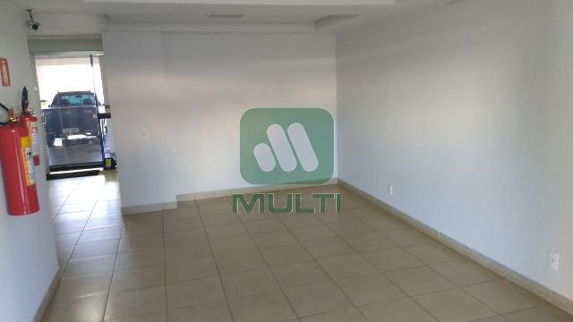 Apartamento à venda com 3 quartos, 76m² - Foto 12