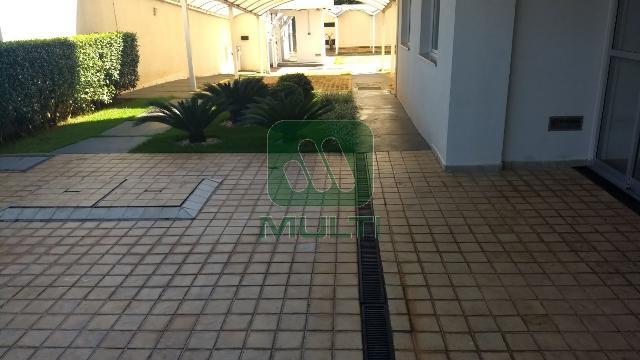 Apartamento à venda com 3 quartos, 76m² - Foto 13