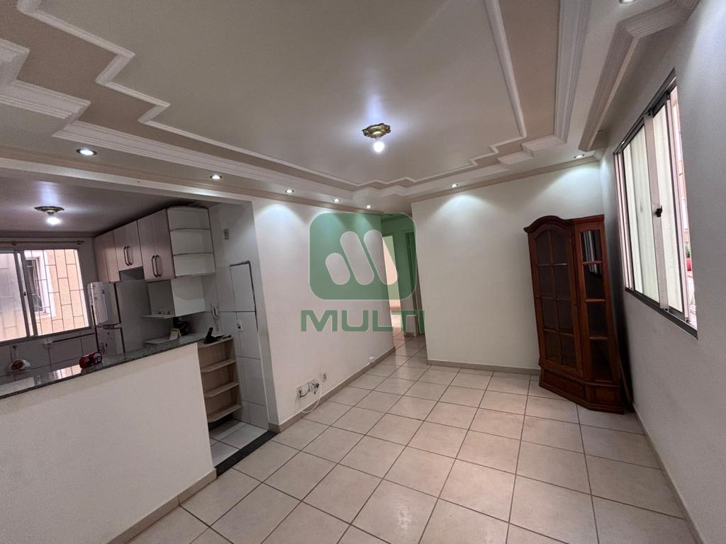 Apartamento à venda com 3 quartos, 59m² - Foto 6