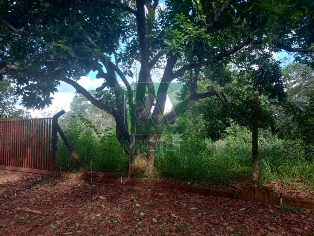 Fazenda à venda com 1 quarto, 1m² - Foto 13