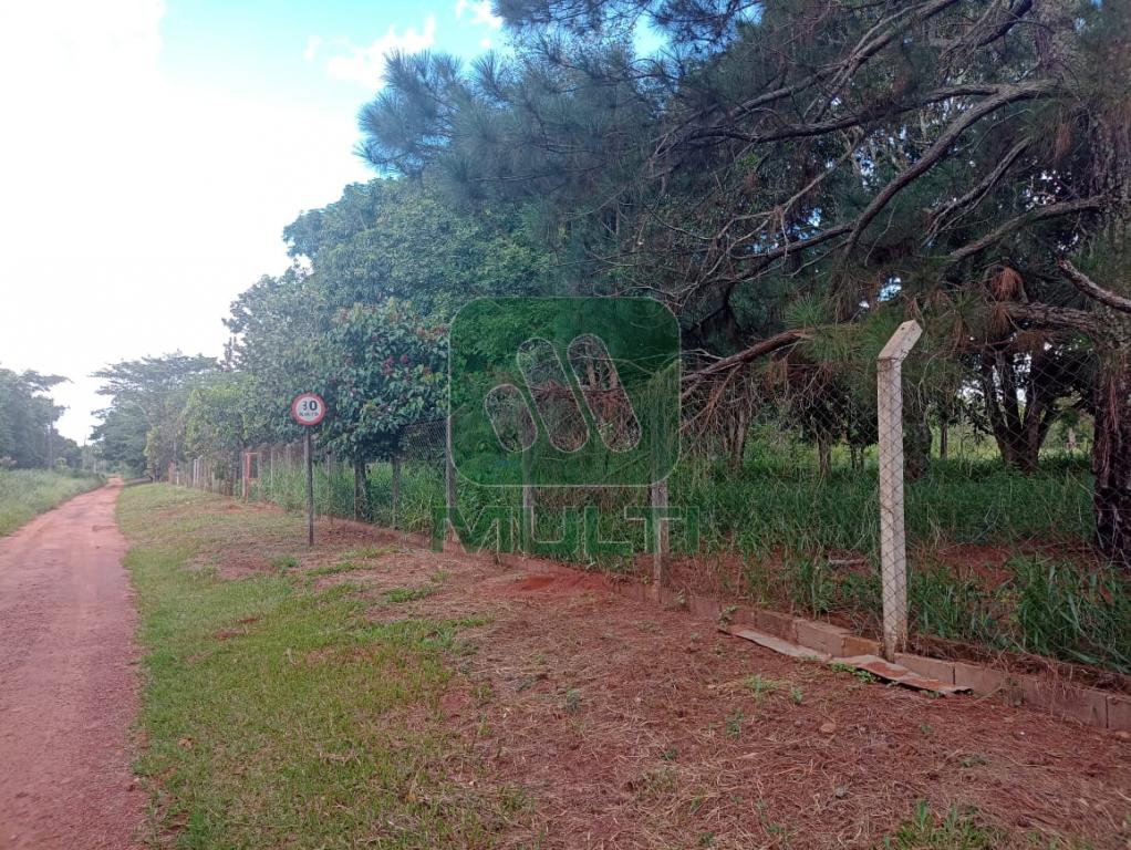 Fazenda à venda com 1 quarto, 1m² - Foto 19