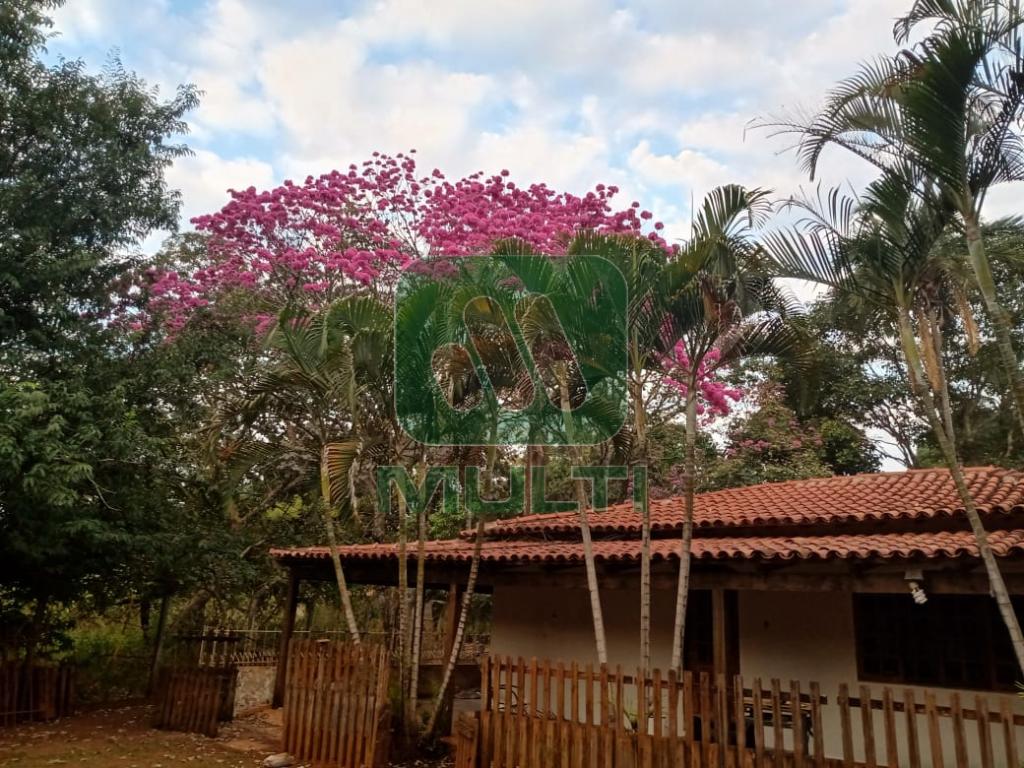 Fazenda à venda com 1 quarto, 1m² - Foto 22