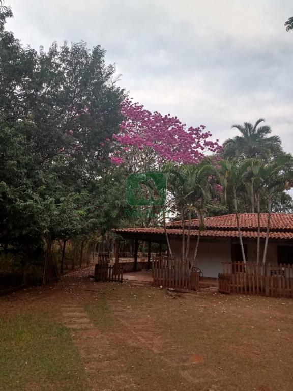 Fazenda à venda com 1 quarto, 1m² - Foto 24