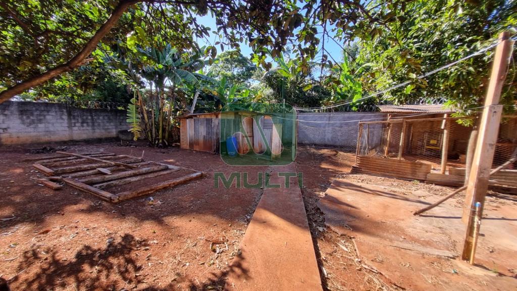 Fazenda à venda com 3 quartos, 200m² - Foto 9