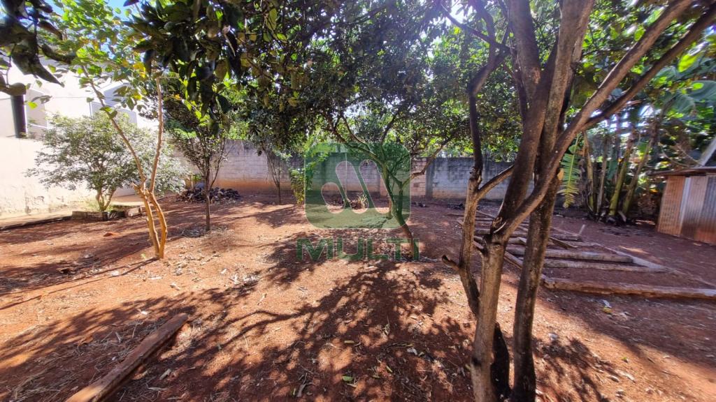 Fazenda à venda com 3 quartos, 200m² - Foto 15