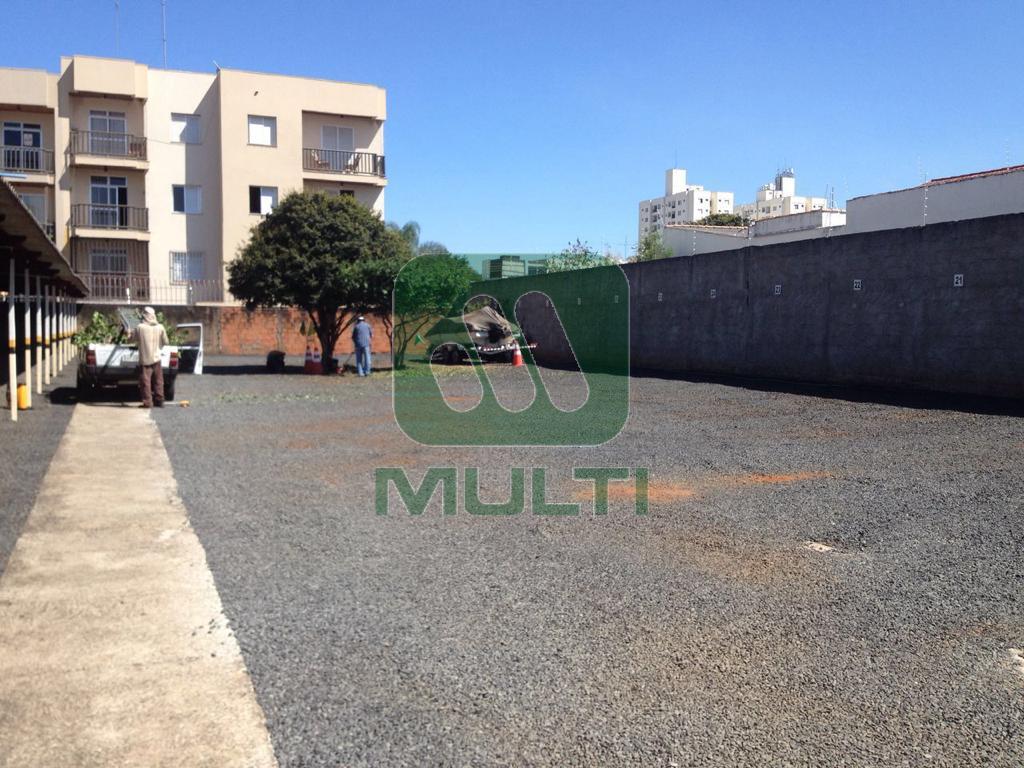 Terreno à venda com 1 quarto, 800m² - Foto 1