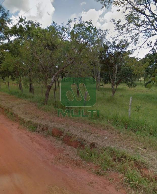 Fazenda à venda com 1 quarto, 10000m² - Foto 1