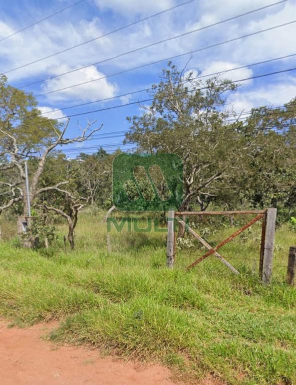 Fazenda à venda com 1 quarto, 10000m² - Foto 2