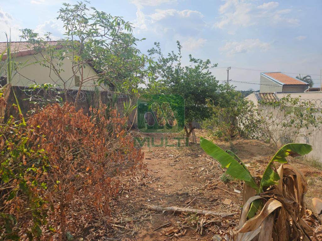 Terreno à venda com 1 quarto, 250m² - Foto 3