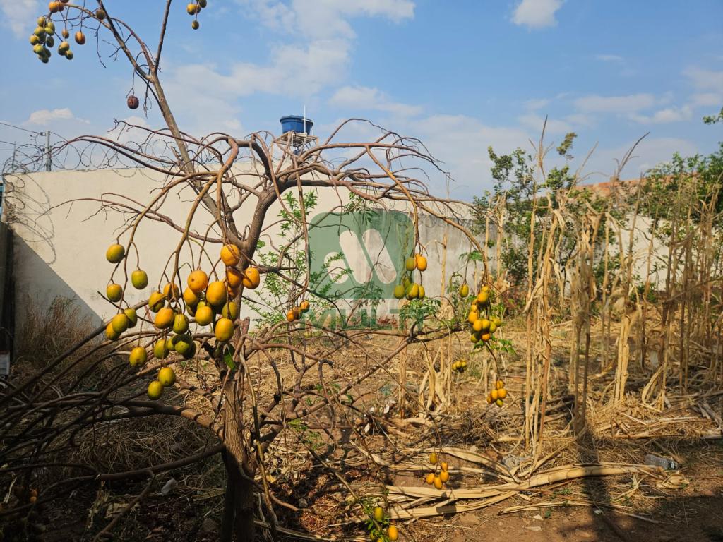 Terreno à venda com 1 quarto, 250m² - Foto 5