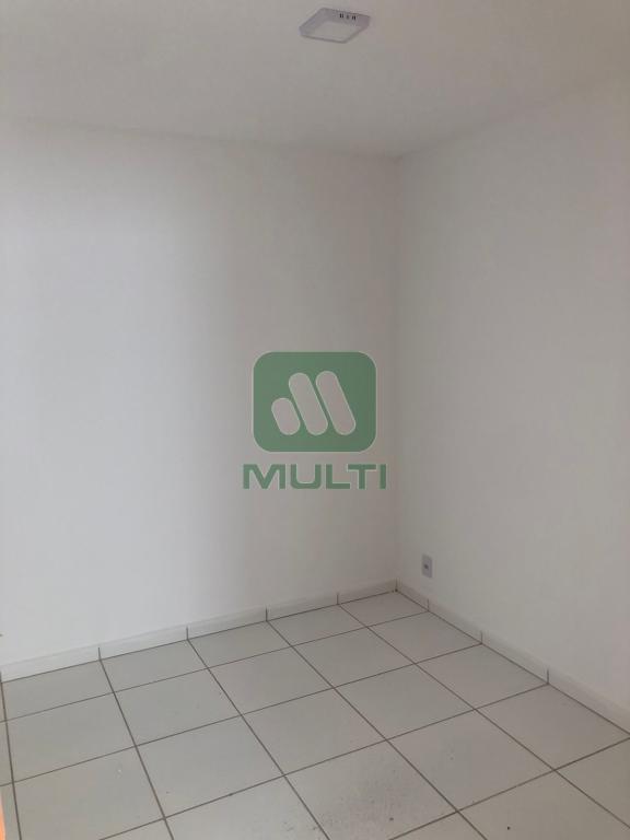 Apartamento à venda com 2 quartos, 52m² - Foto 14