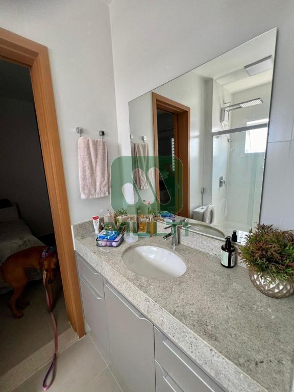 Apartamento à venda com 3 quartos, 81m² - Foto 14