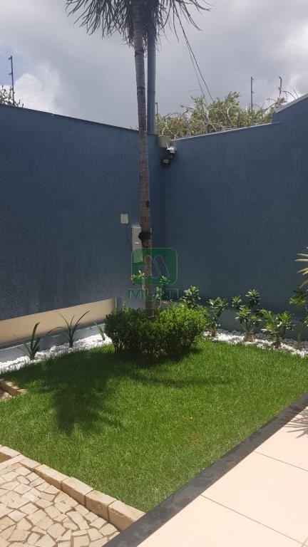 Casa à venda com 3 quartos, 200m² - Foto 38